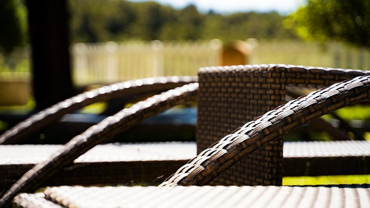 Sous Les Pins Gites Et Chambres D'Hotes La Londe-les-Maures Eksteriør bilde