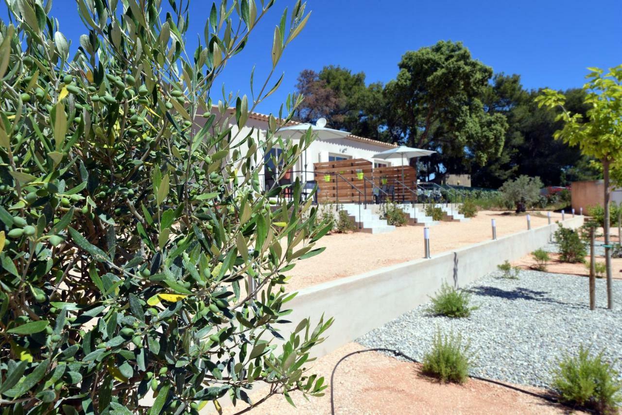 Sous Les Pins Gites Et Chambres D'Hotes La Londe-les-Maures Eksteriør bilde